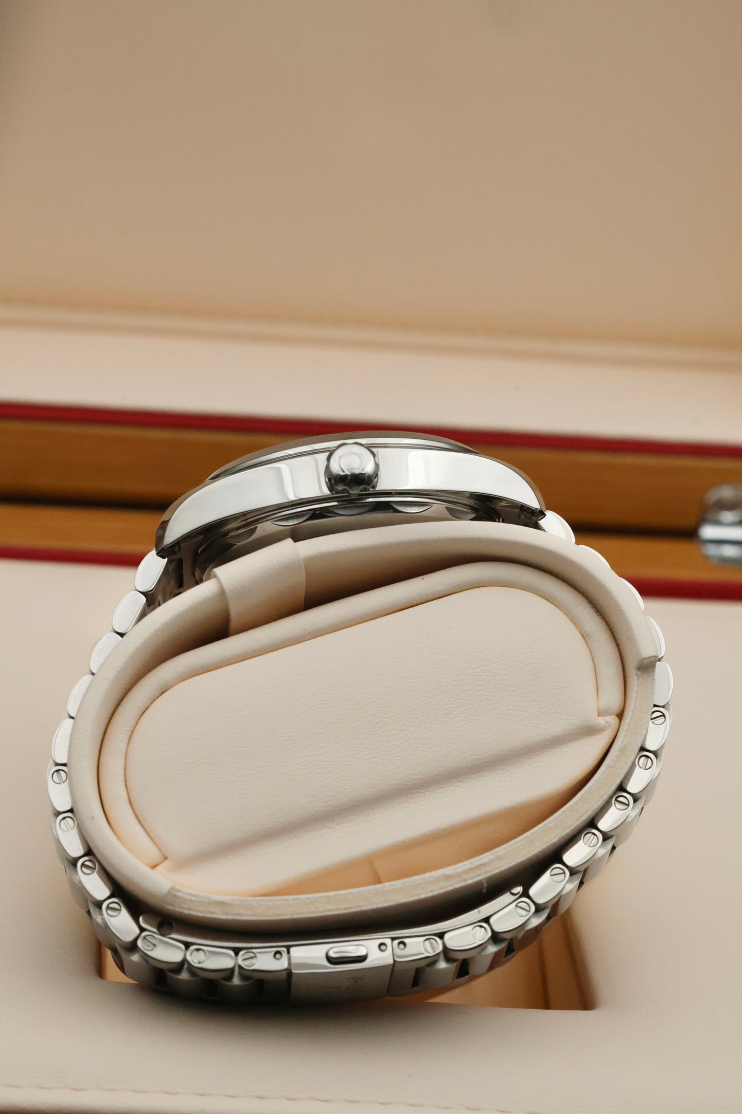 Omega Seamaster Aquaterra | 2025