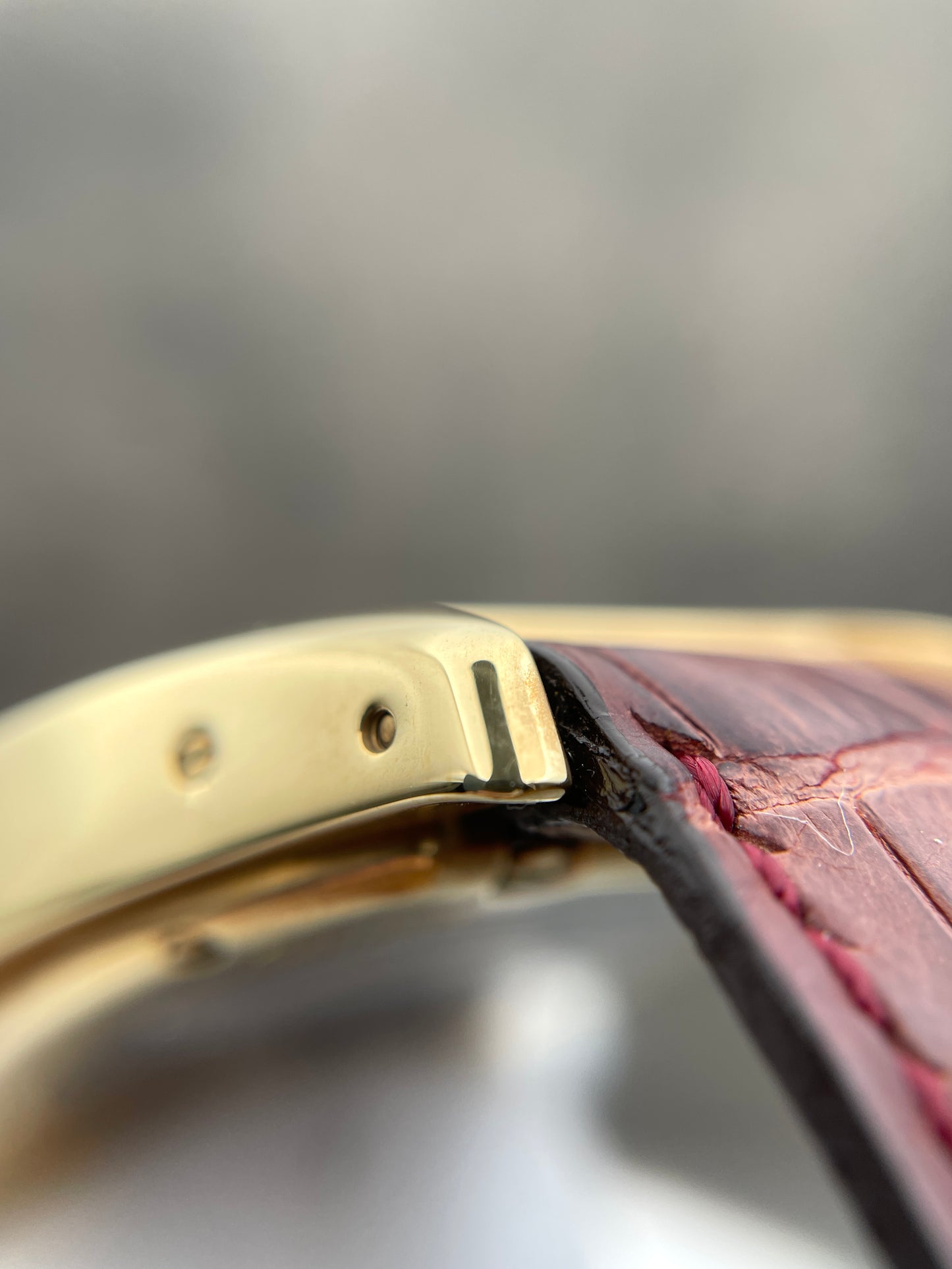 Cartier Tortue Monopusher CPCP