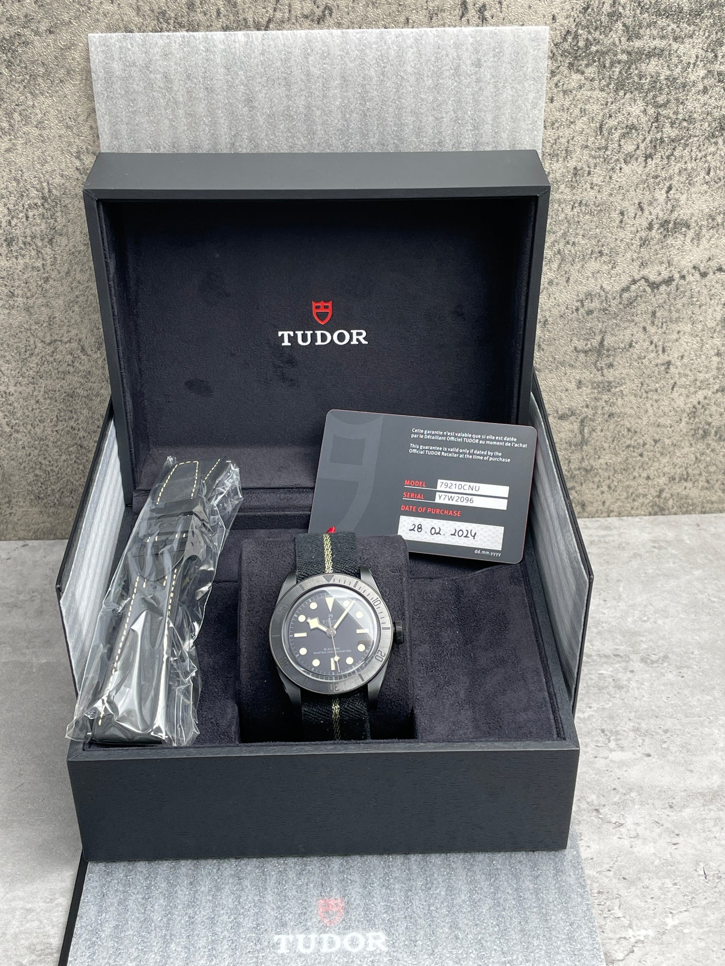 Tudor Black Bay 79210