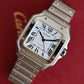Cartier Santos Medium WSSA0029