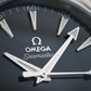 Omega Seamaster Aquaterra | 2025