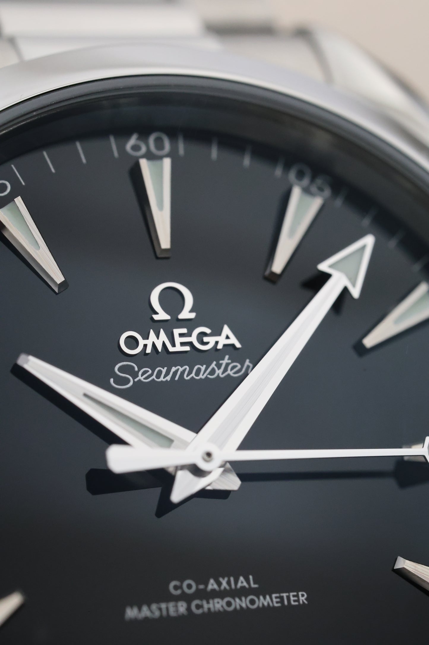 Omega Seamaster Aquaterra | 2025