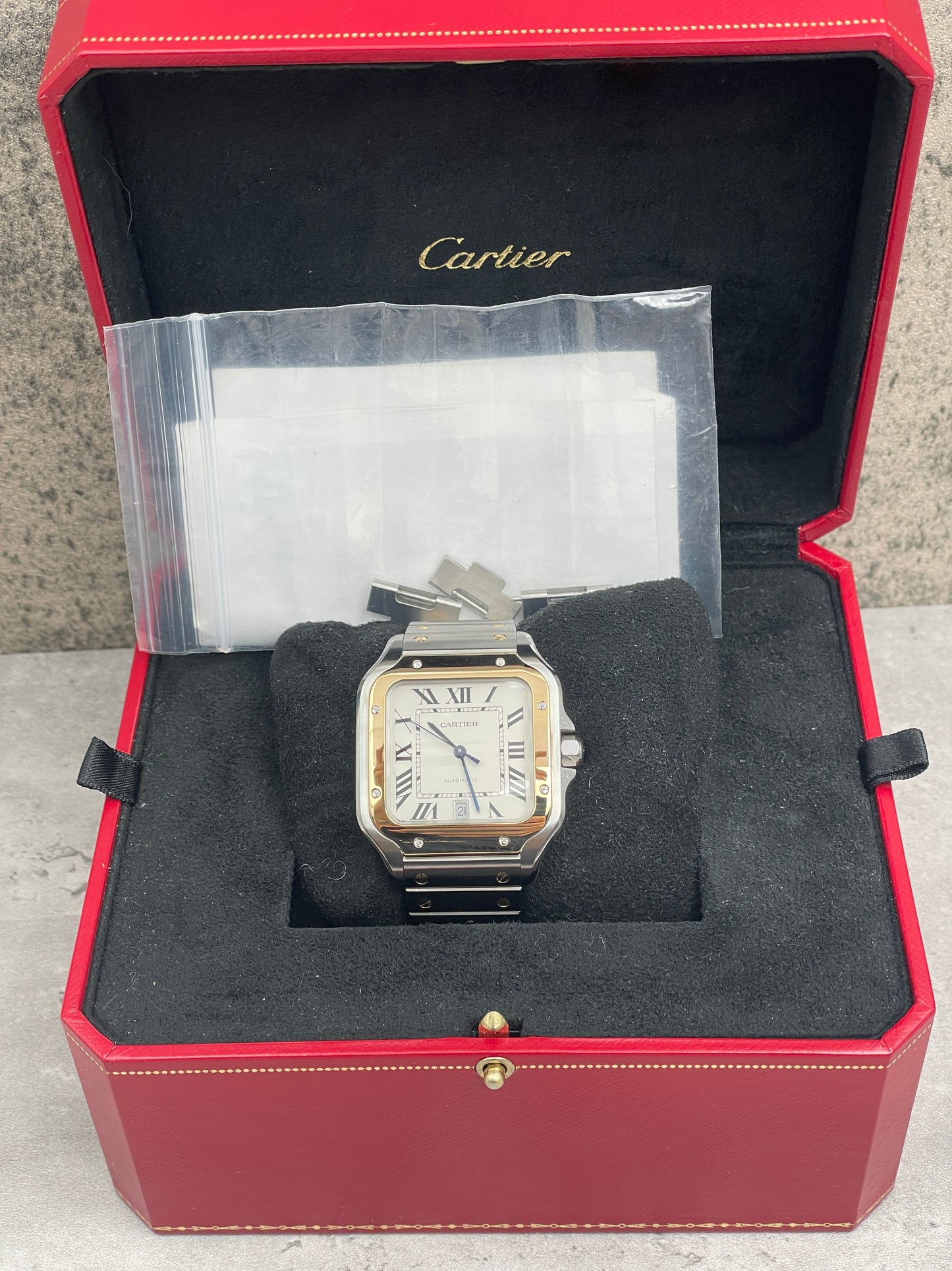 Cartier Santos Large W2SA0009