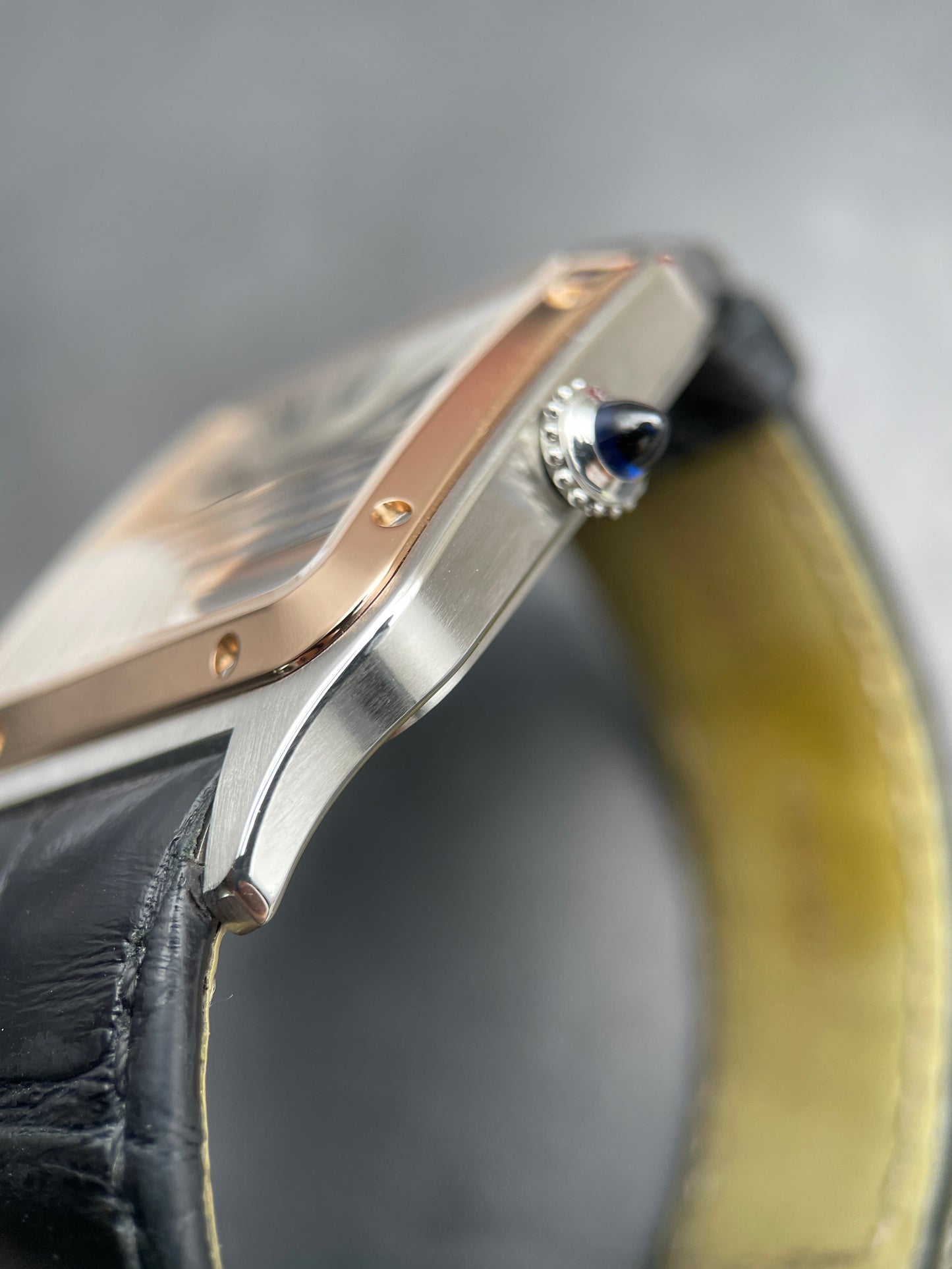 Cartier Santos Dumont | 2023