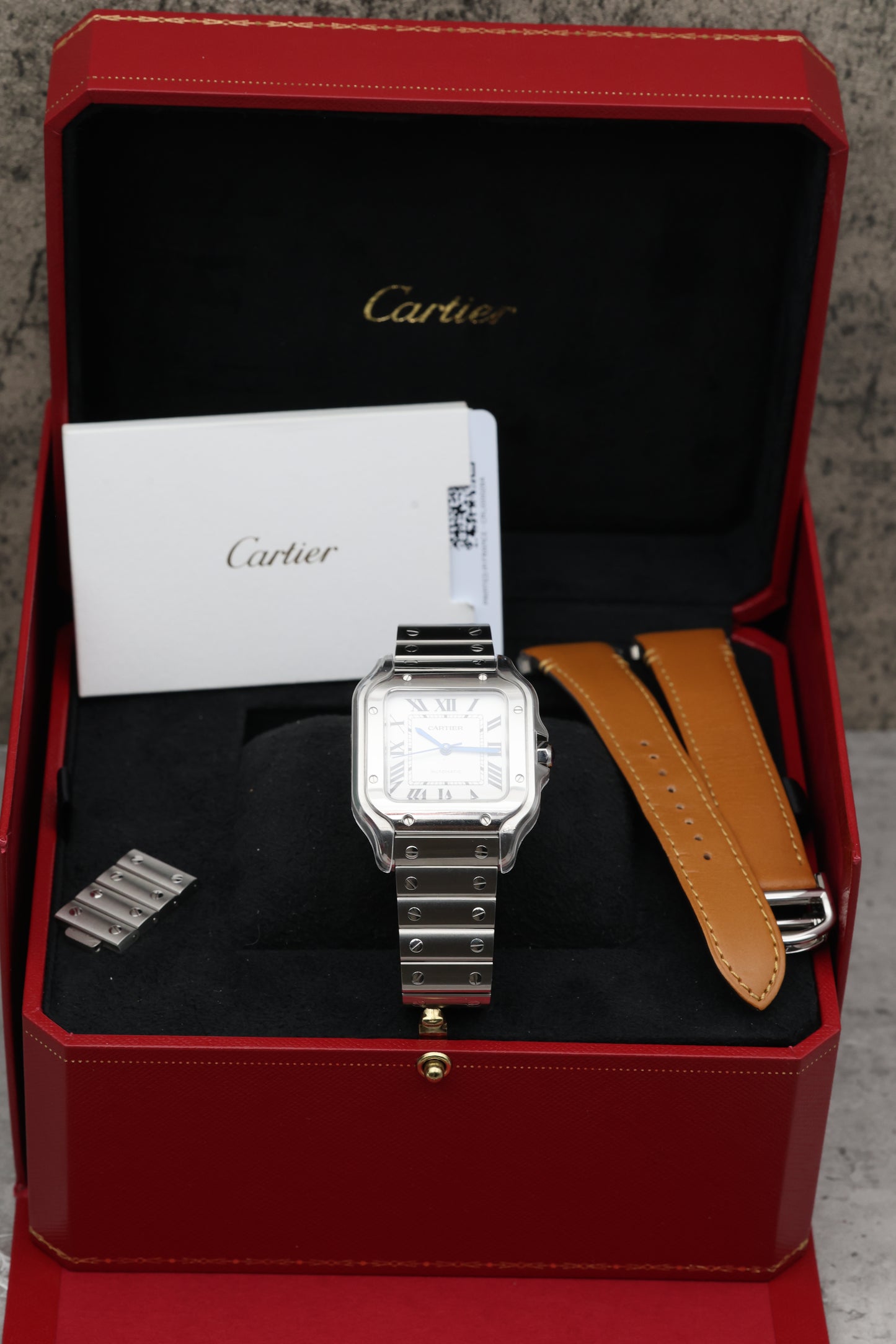 Cartier Santos Medium WSSA0029