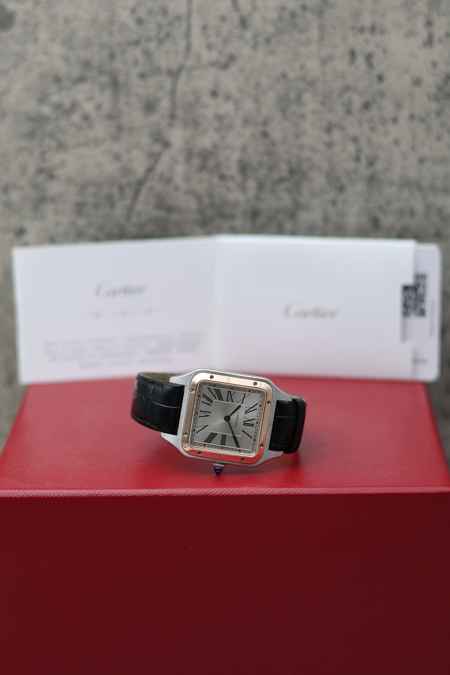 Cartier Santos Dumont | 2023