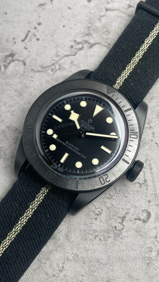 Tudor Black Bay 79210